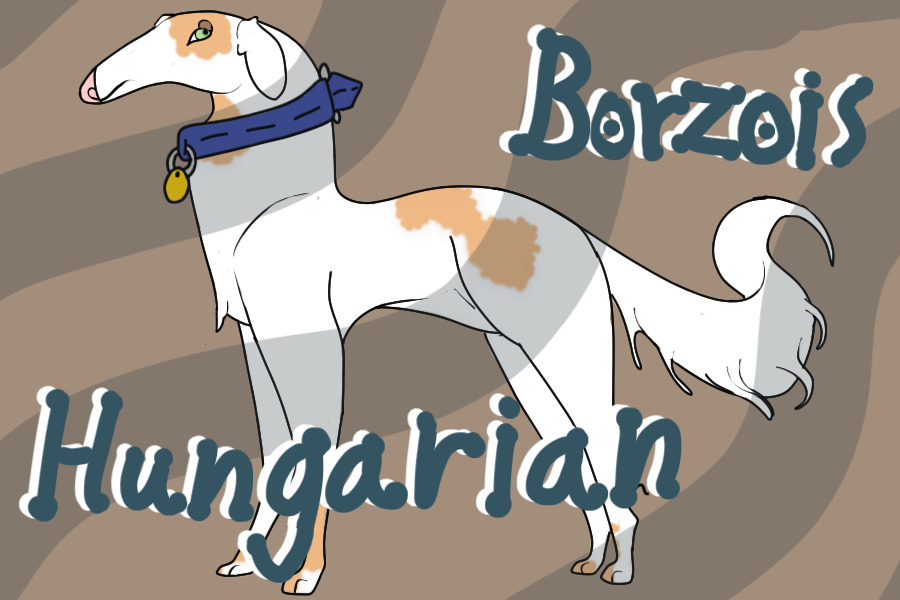 Hungarian Borzois