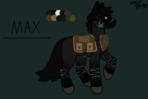 Max The Military Pony