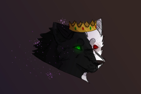 ranboo wolf ranboo wolf ranboo w