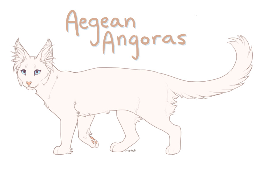 Aegean Angoras (discord added)