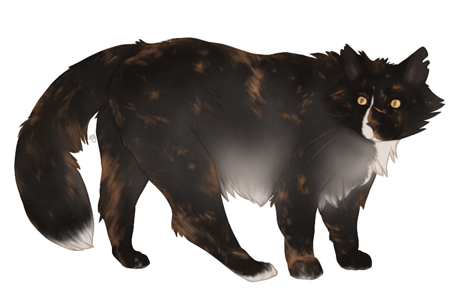 wip sona/oc