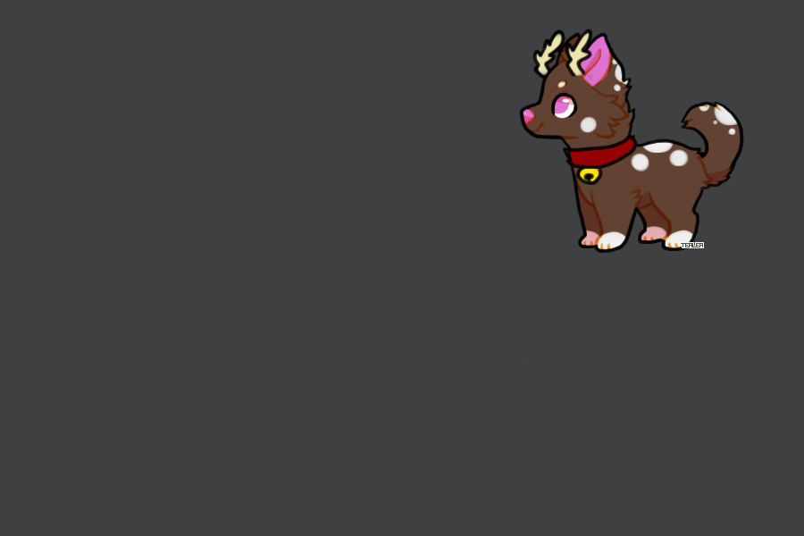 Reindeer Pup