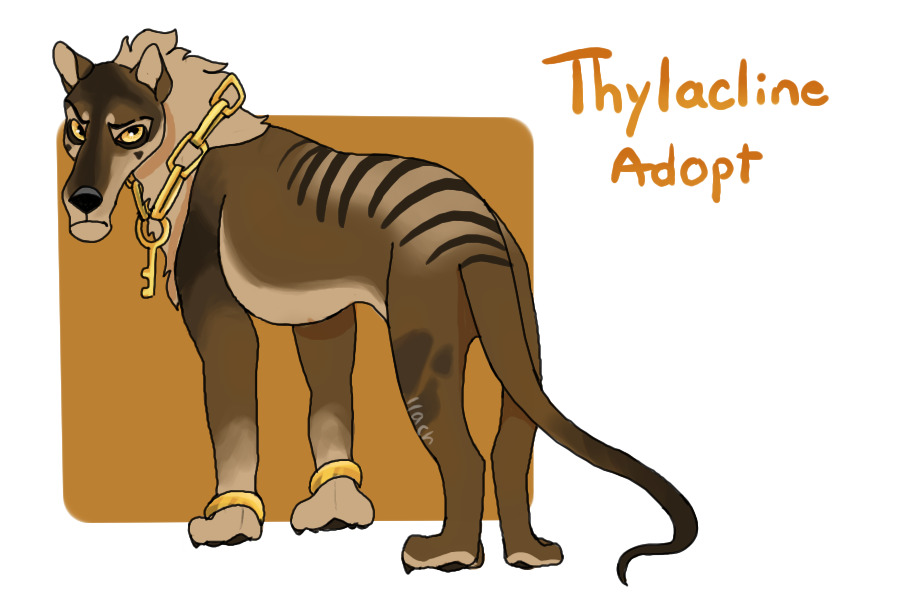 Thylacine adopt