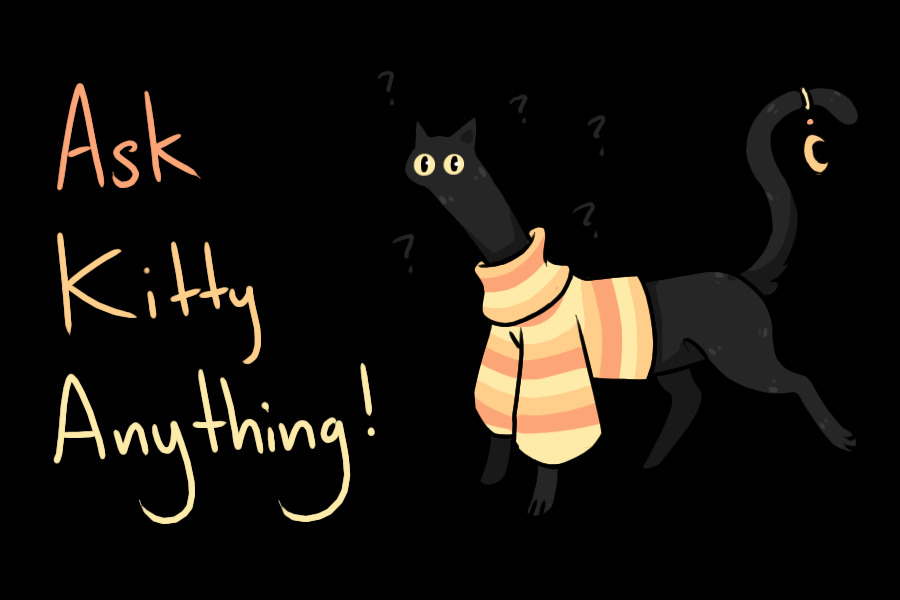 Ask Kitty Anything!