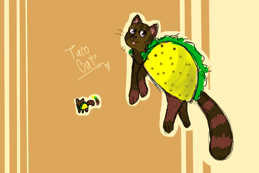 Taco Cat <3