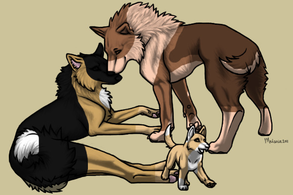 Pups