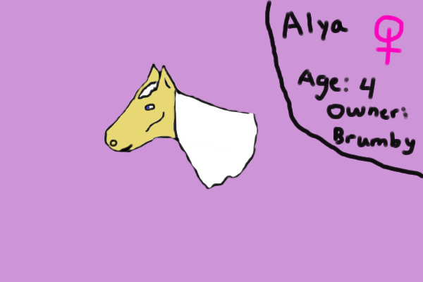 Alya Horse