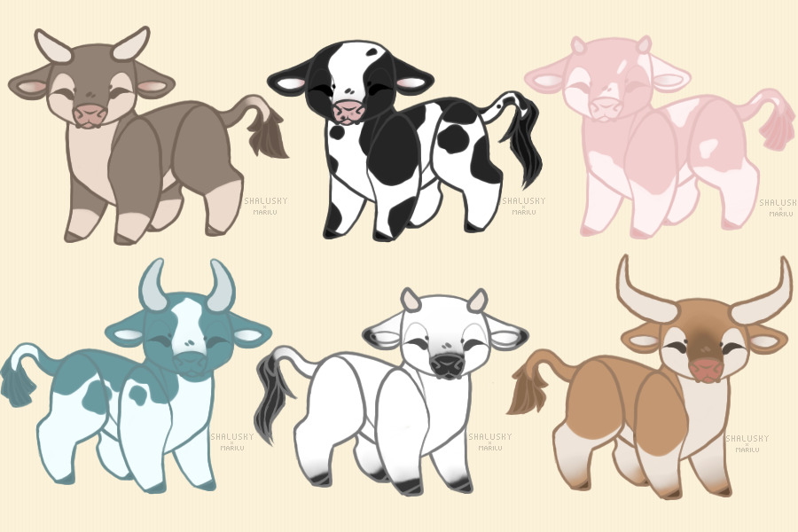 Cute Cows :>