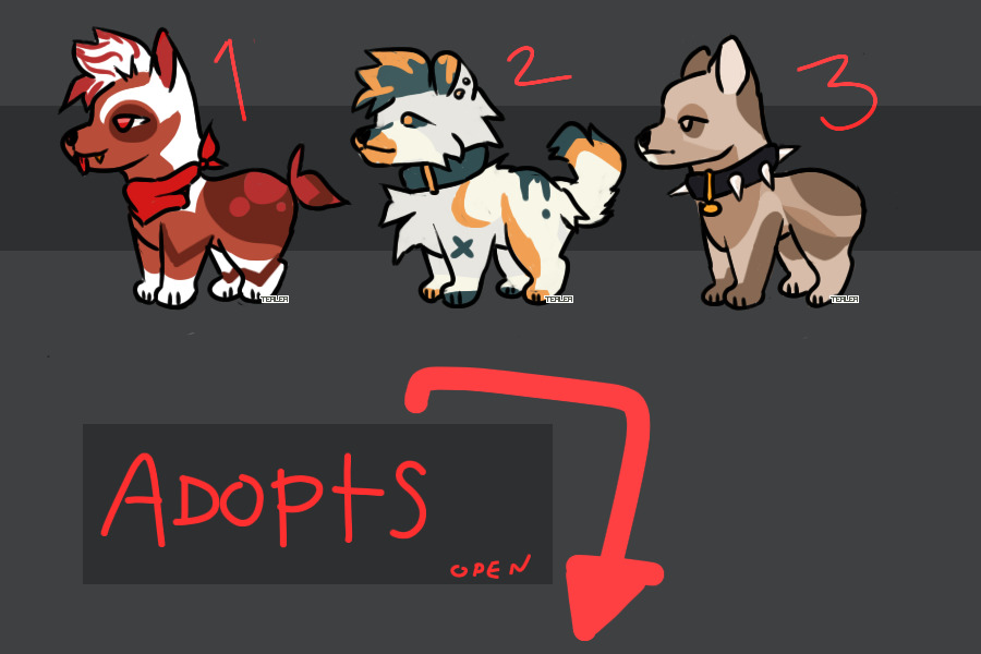 adopts | 3/3 open