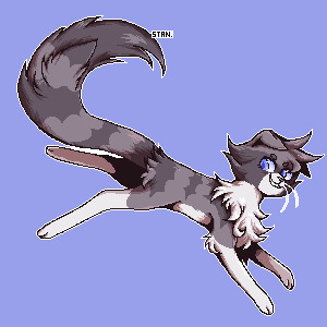 long leggs