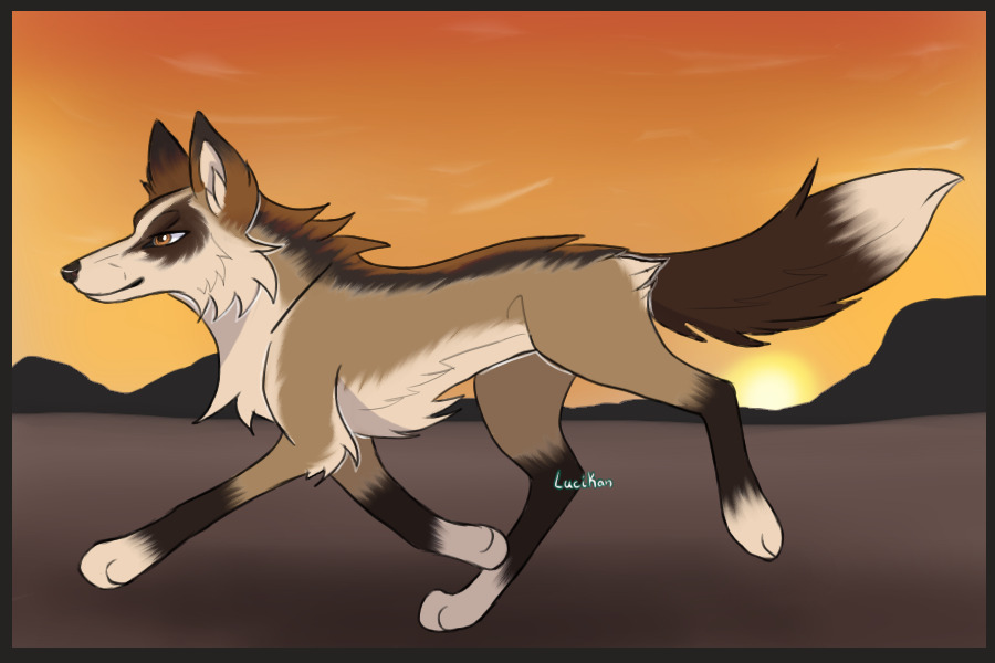 Sunset Run