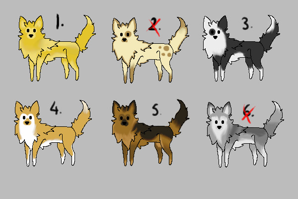 Canine Adopts- 4/6 Open