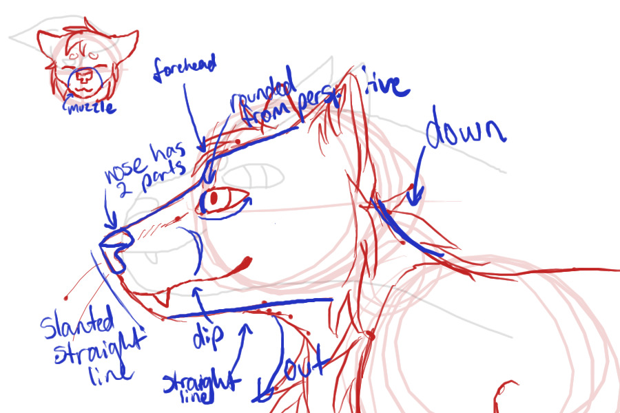 Accidentally looks kind of a like a fox