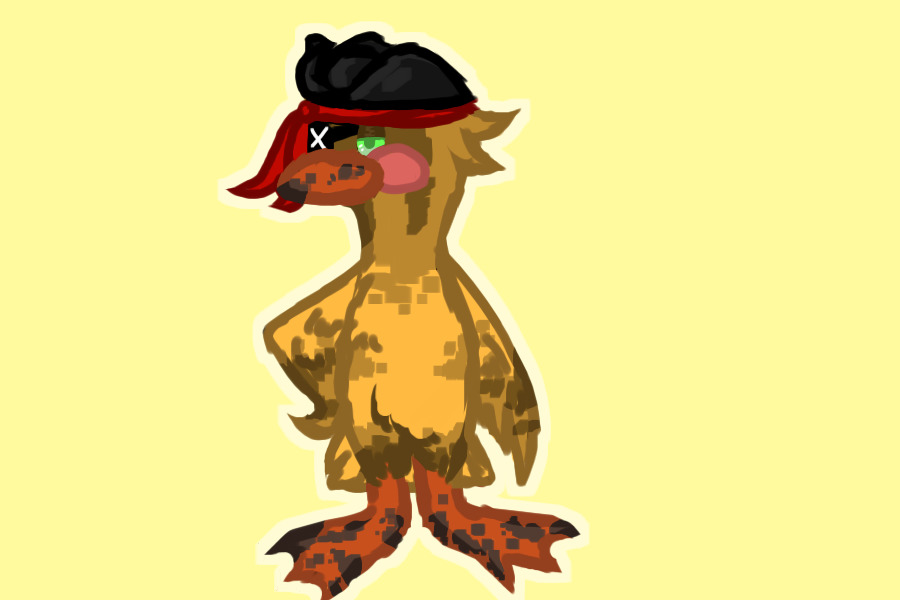 pirate duck?