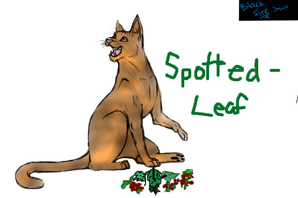 Spottedleaf