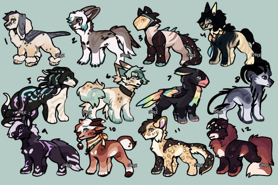12 adopts closed