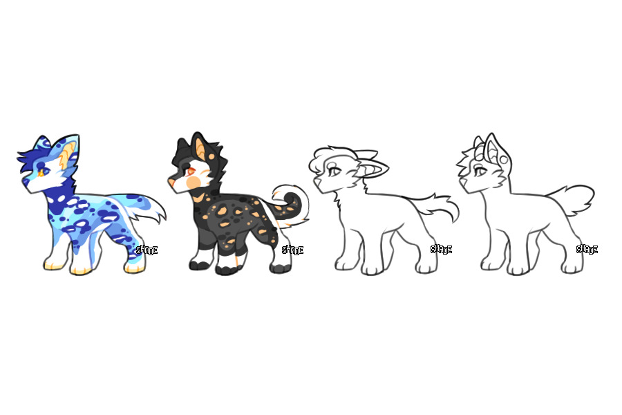 adopts 2/2 open
