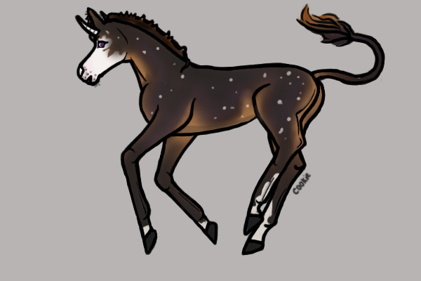 Equine| Foal Lineart
