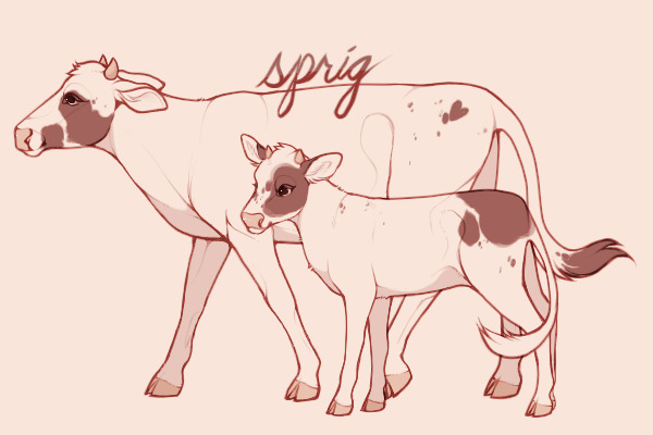 cow lines for sprig