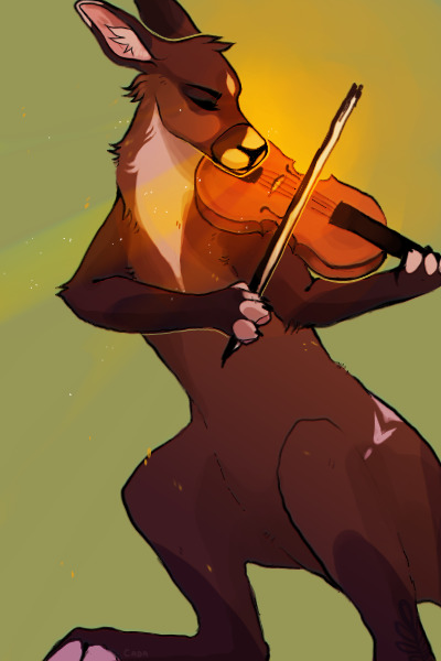 kangaroo with a violin, what will they do