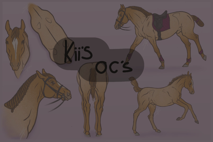 Kii's horse OC's
