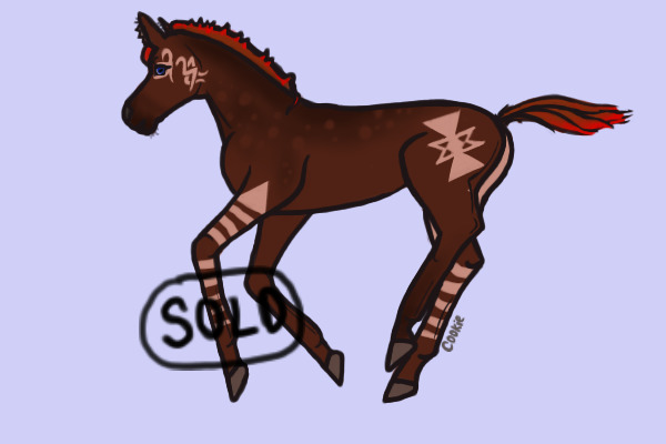 Tribal Foal | Sold