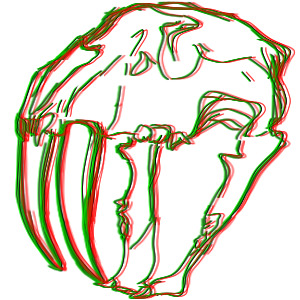 sabrskull