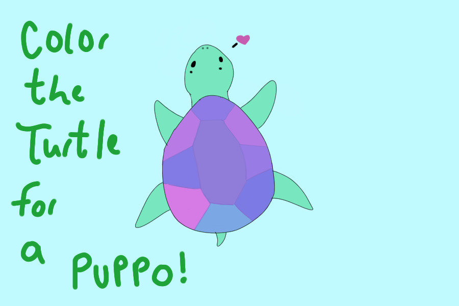 Turtle for Puppo