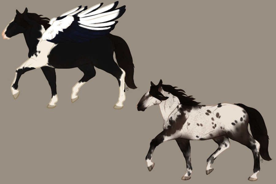 pon adopts p3
