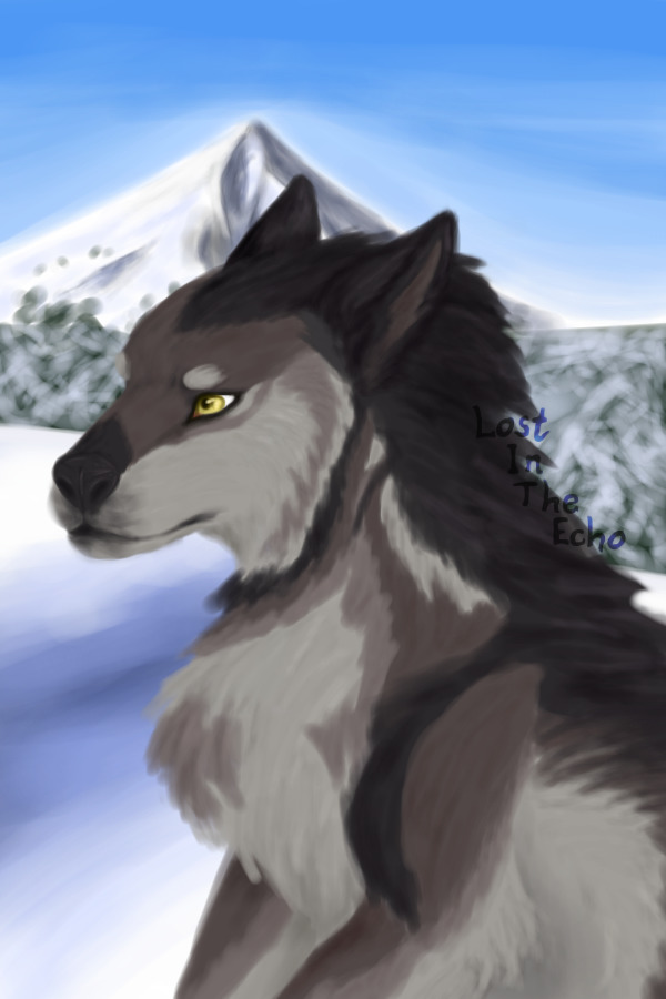 For ~Timber Wolf~