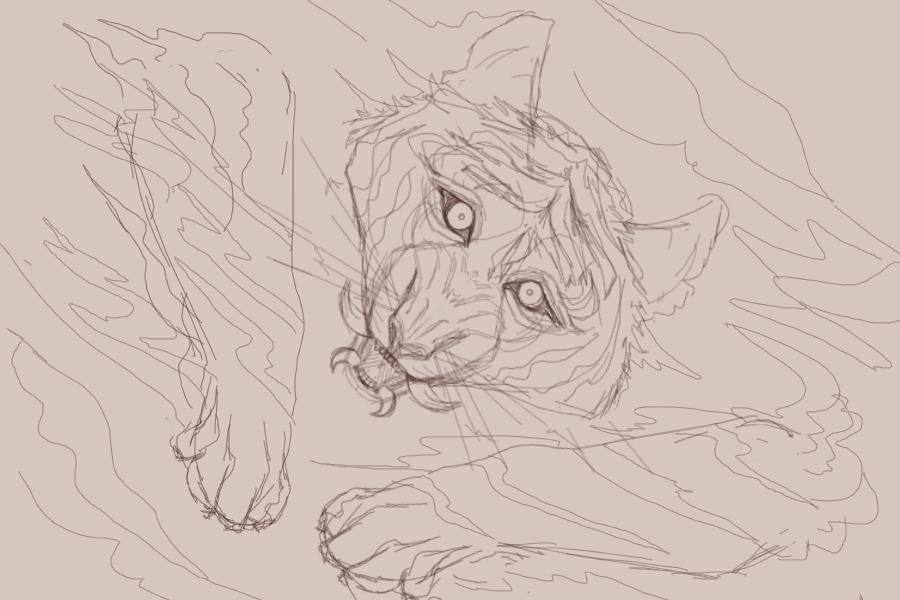 what does a tiger even look like (WIP)