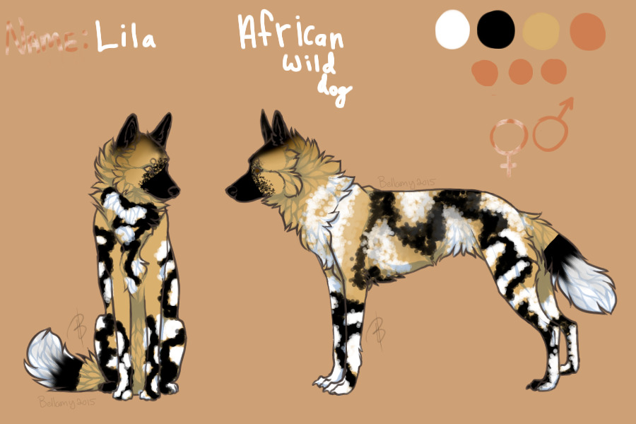 Lila (African Wild Dog)