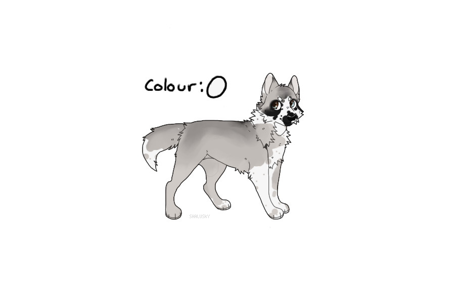Beaumont Collie #38 - Entry