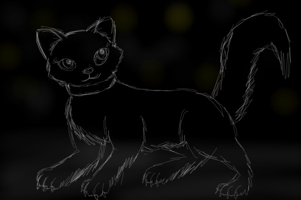 A random sketch