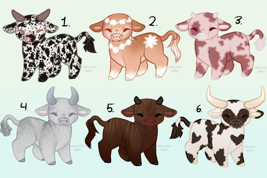 Cow Adopts (closed)