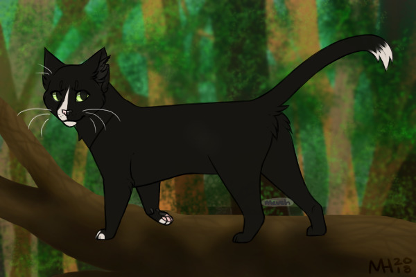Crowtail- StarClan Warrior