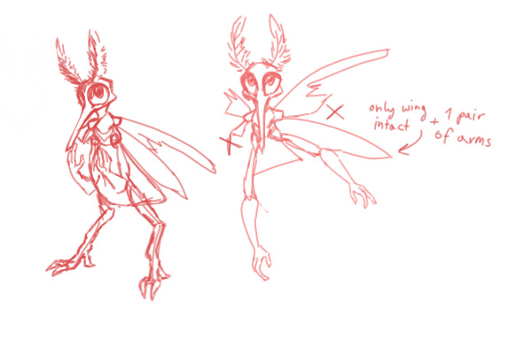 [tw: insect] concept?