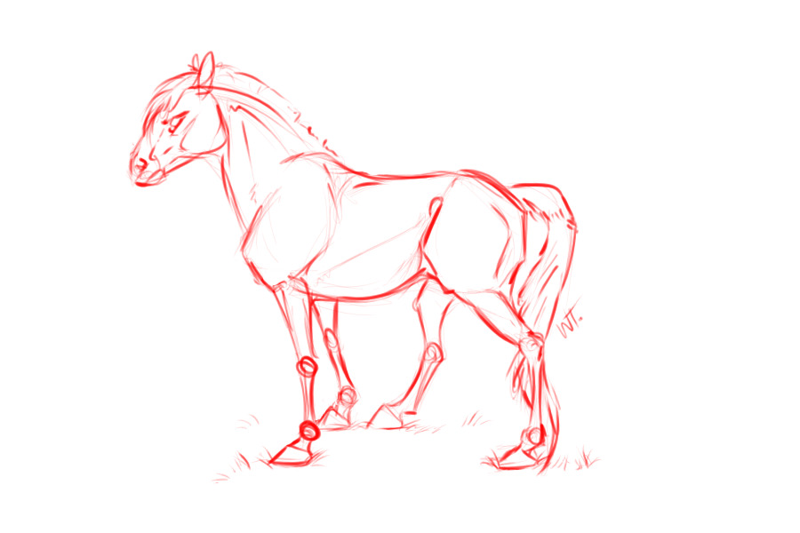 Horse Sketch