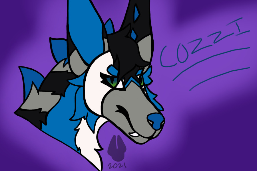 COZZI!