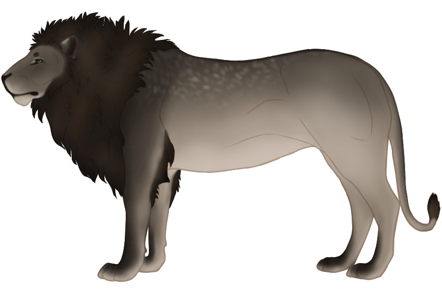 lion
