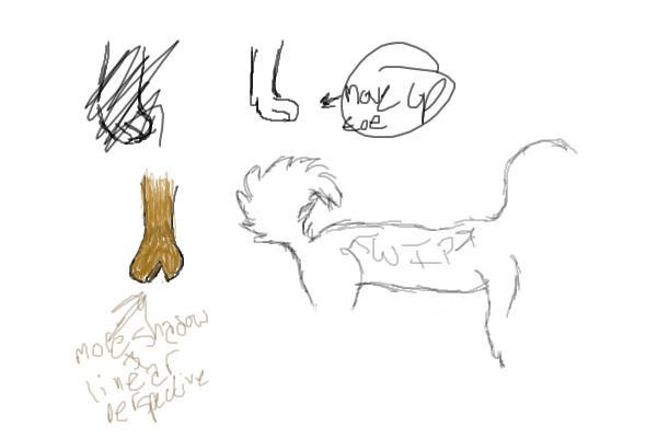 Random Anatomy Sketches
