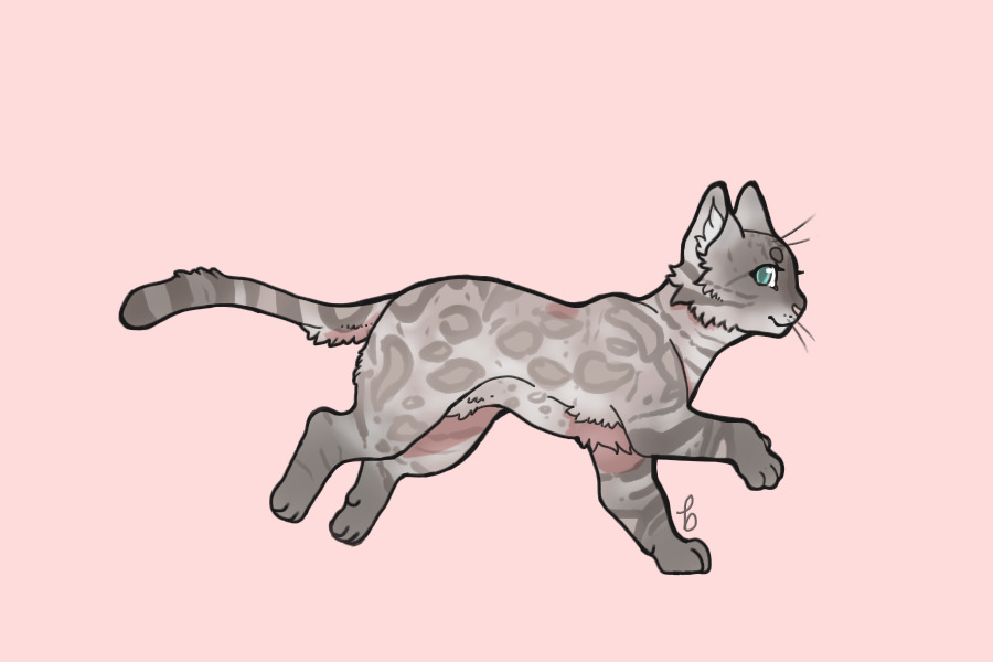 Breeding #78 | Kit 1 | Growth 1