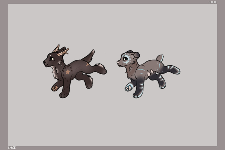 some kiddos
