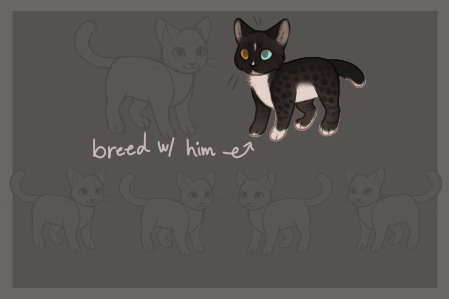 breed w/ hutch