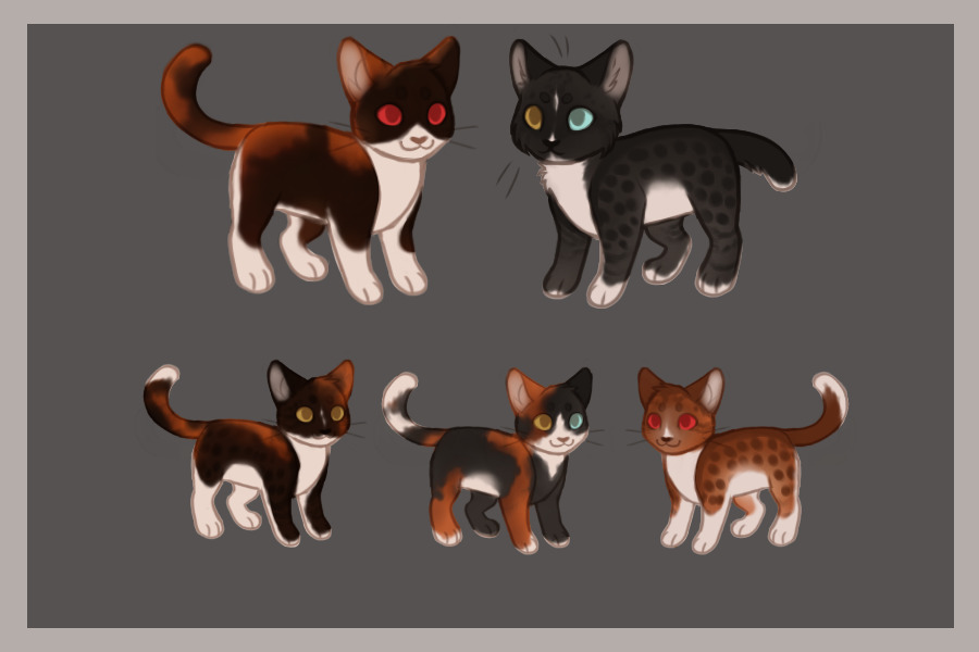 hutch x mapleshade