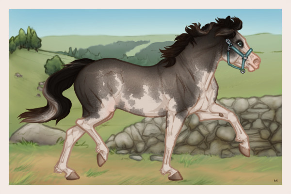 Ferox Welsh Pony #710