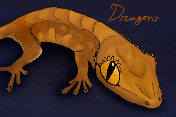 Dragon <3