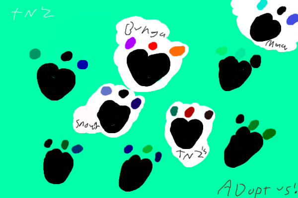 Adoptable paws