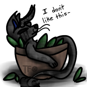 Night does not approve of Wolf-dragon salad-