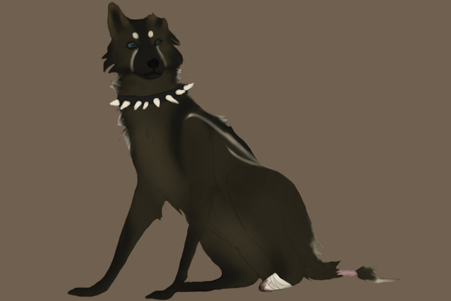 sketchy for kennedyx